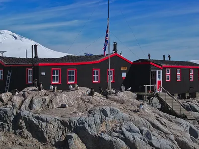 Penguins surround the post office at Port Lockroy, a British outpost on Goudier Island.