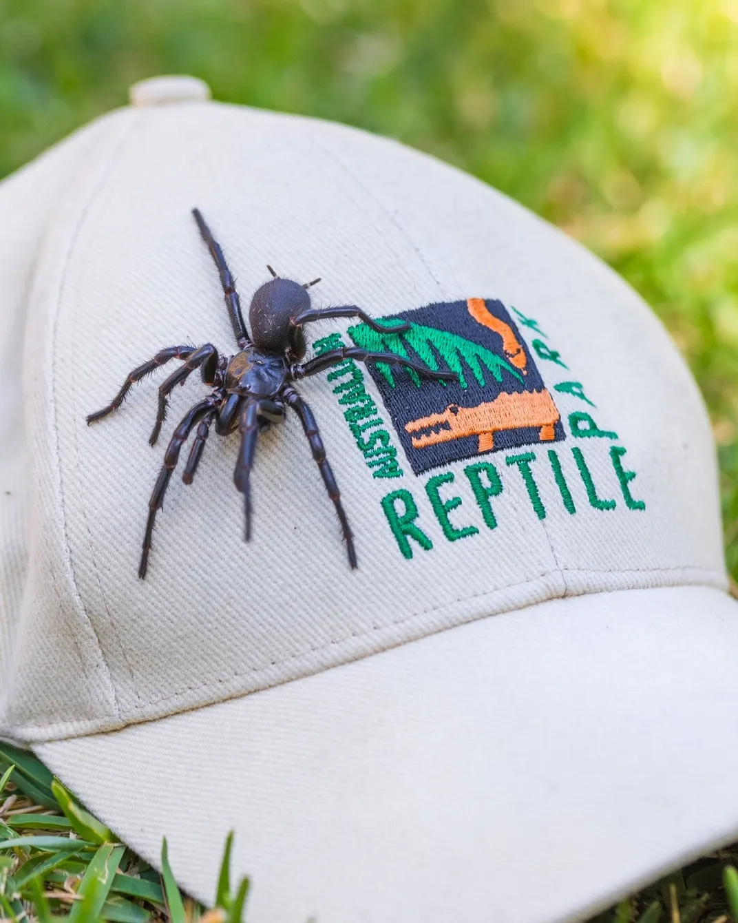 a large spider crawls on a baseball cap with the Australian Reptile Park logo