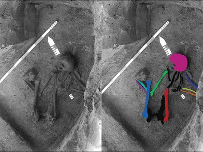 Researchers performed DNA testing on the bones highlighted in this image.