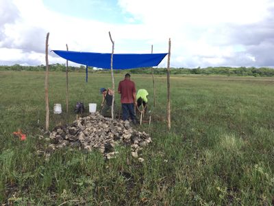 A 2019 drought allowed researchers to excavate some of the typically waterlogged canals.