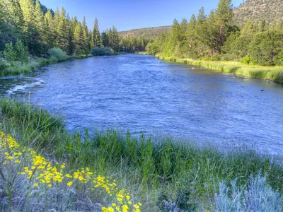 The Upper Klamath River is also part of restoration work. The salmon&#39;s return inspires biologists to continue their efforts in the upper basin.