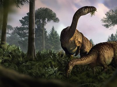 An artist&#39;s depiction of two sauropodomorphs in a wet Early Jurassic environment, eating the newly evolved plants.