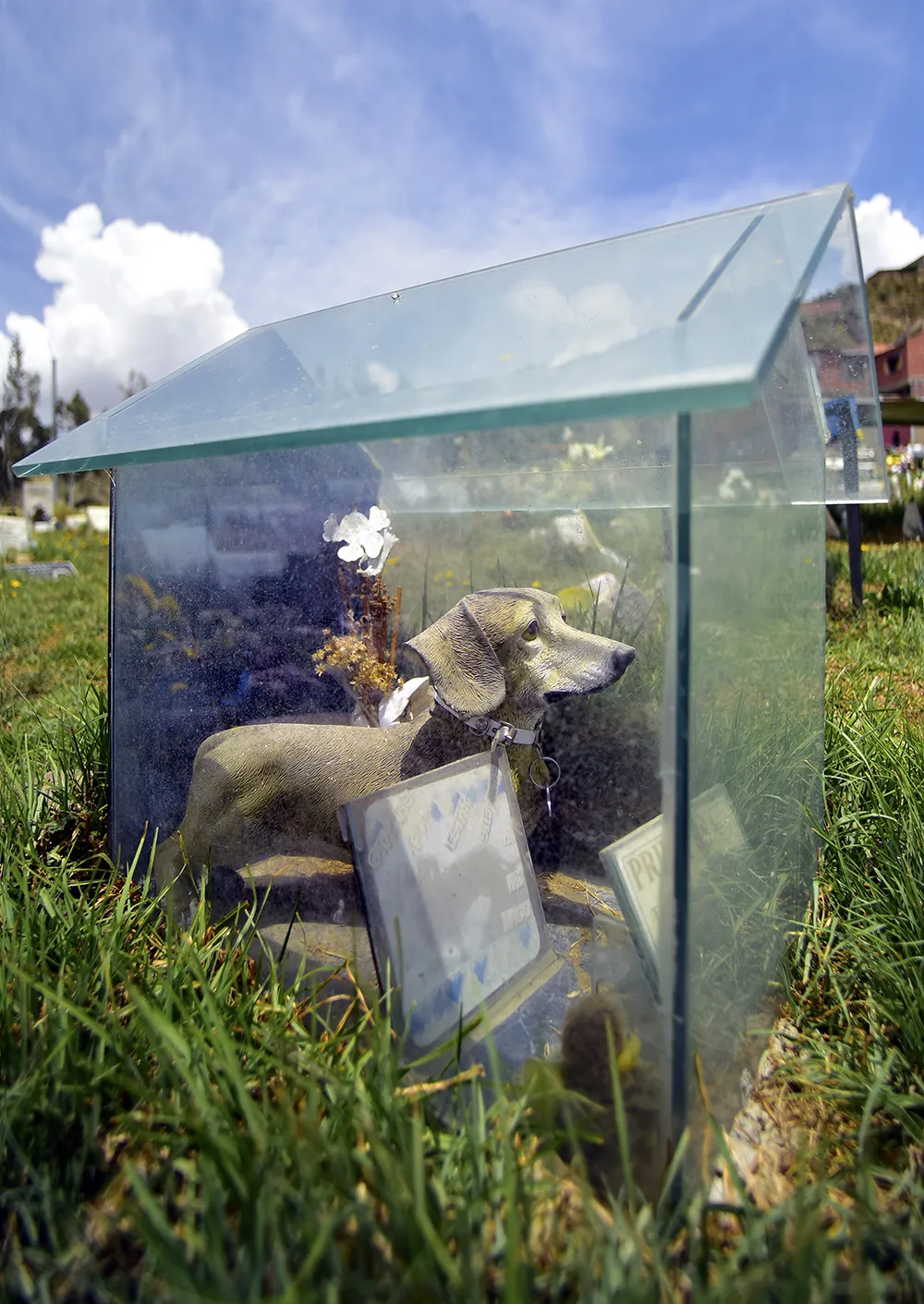 glass doghouse in pet cemetery in La Paz, Bolivia