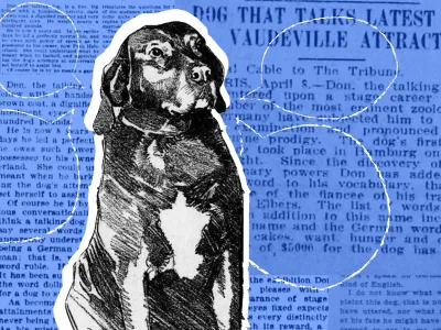 Don the Talking Dog was a vaudeville hit.