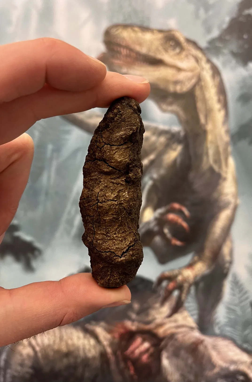 hand holding fossilized poop in front of an image of a dinosaur-like reptile