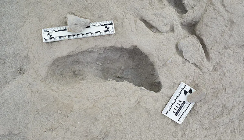 Footprint imprint in sandy dirt