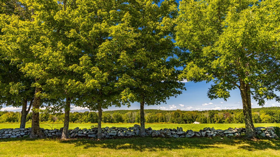 Stone wall in Gilbertville, Massachusetts