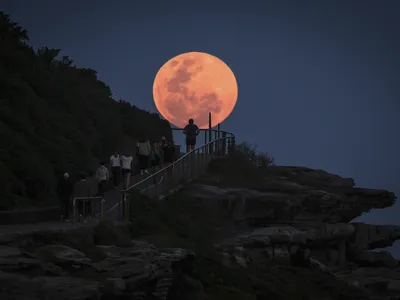 The Super Hunter&#39;s Moon of October 2024 rises over a headland near Bondi Beach in Sydney, Australia.