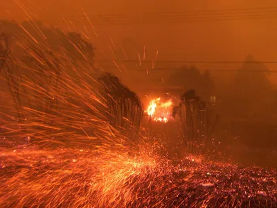 Bush Fire in Canberra