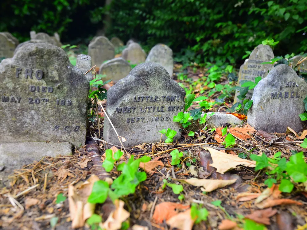 Hyde Park pet cemetery