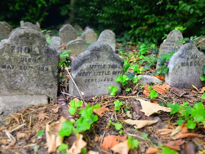 In the late 19th century, bereaved and yard-less pet owners began showing up at Hyde Park in London, imploring the groundskeeper to allow them to lay their dog or cat to rest there.