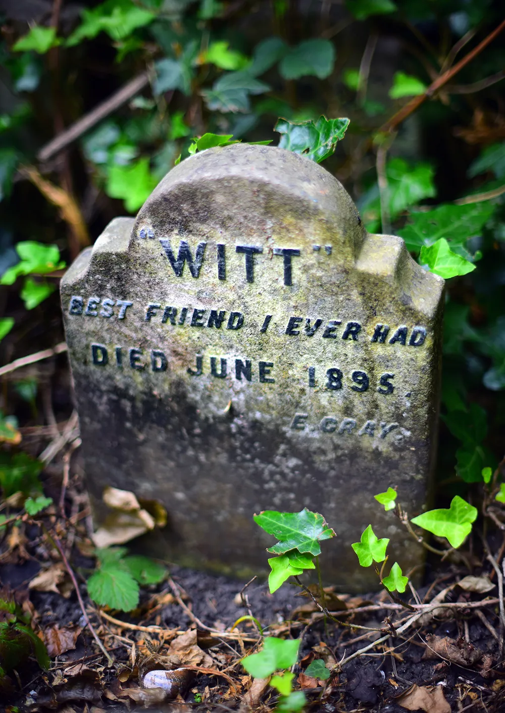 gravestone at Hyde Park pet cemetery