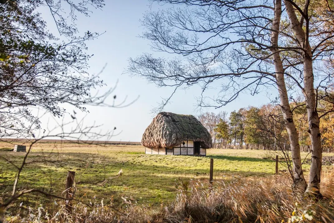 Could Eelgrass Be the Next Big Bio-Based Building Material?