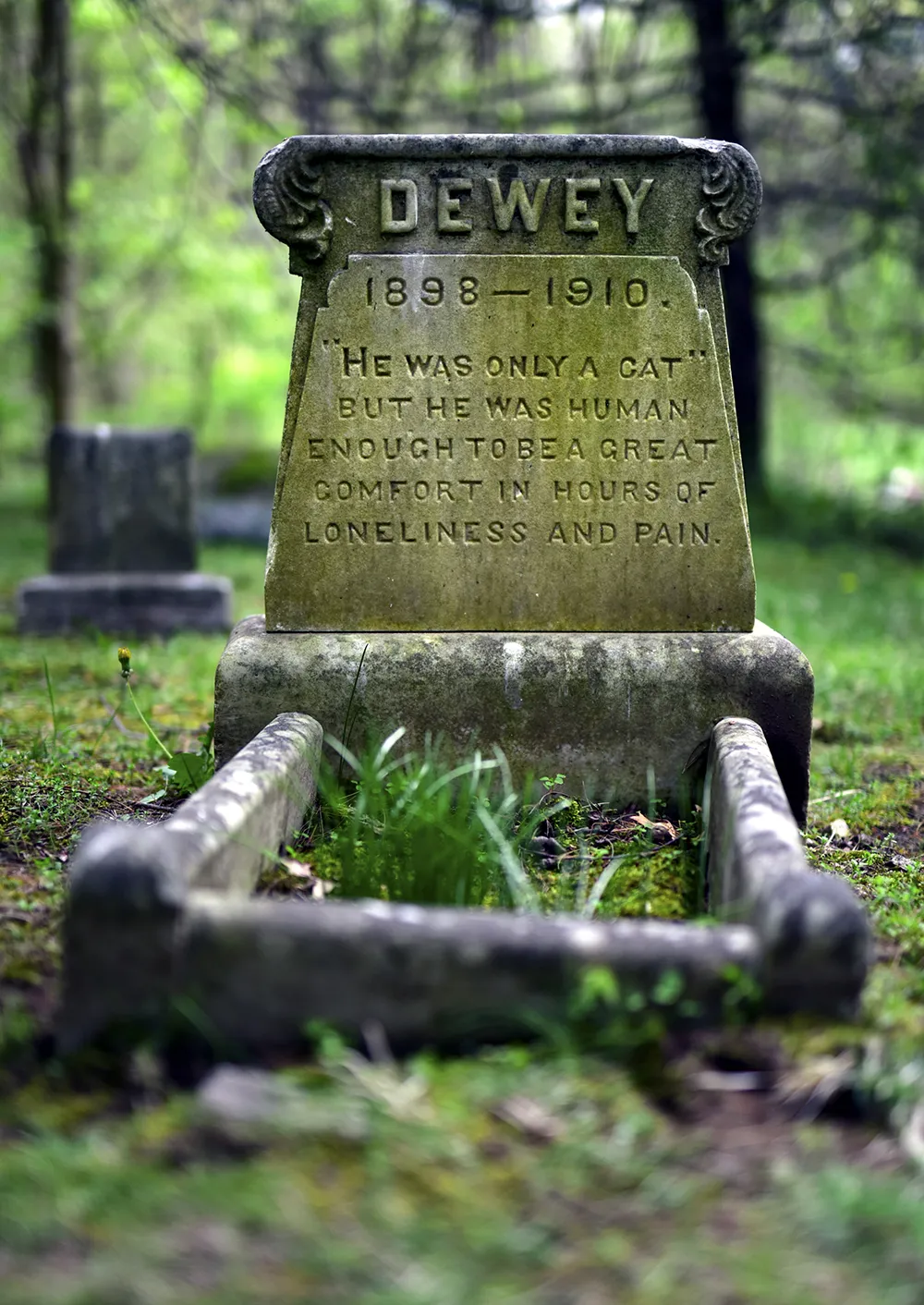 pet gravestone in Dedham, Massachusetts