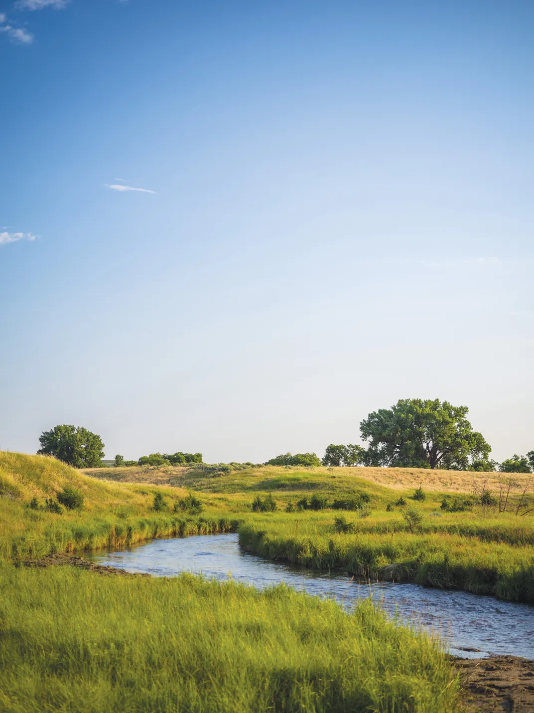 Some 200 Sicangu Lakota were camped along Blue Water Creek in what is now western Nebraska. Eighty-six people were killed, and many others taken prisoner.