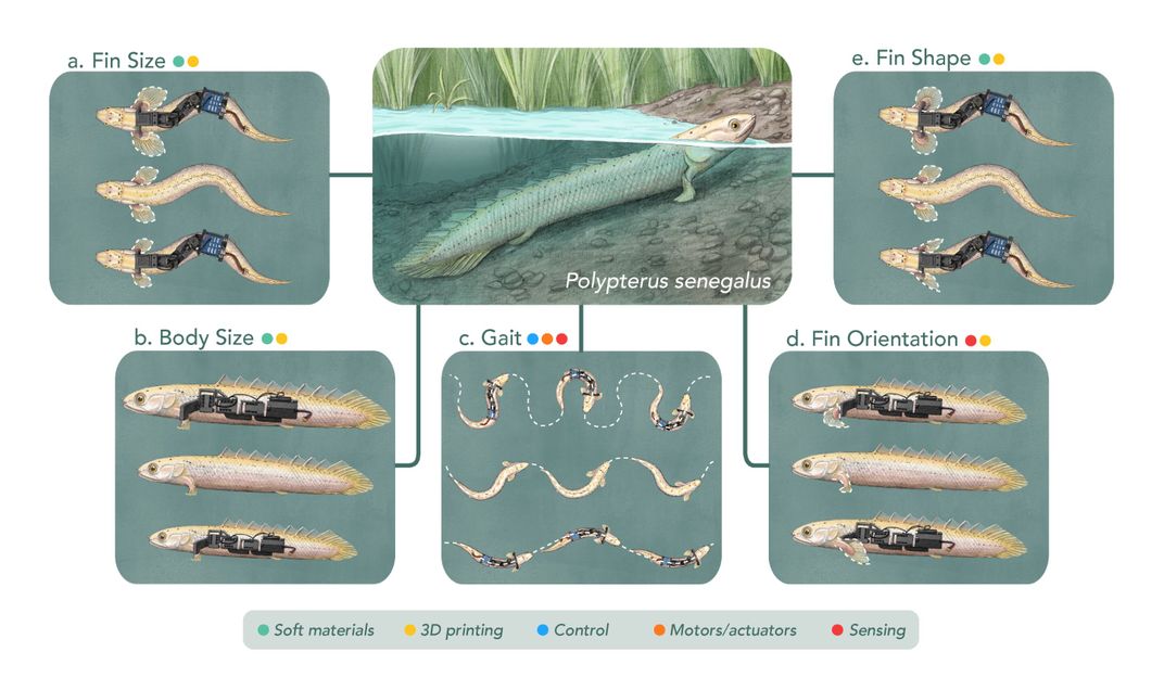 illustration of fish robots