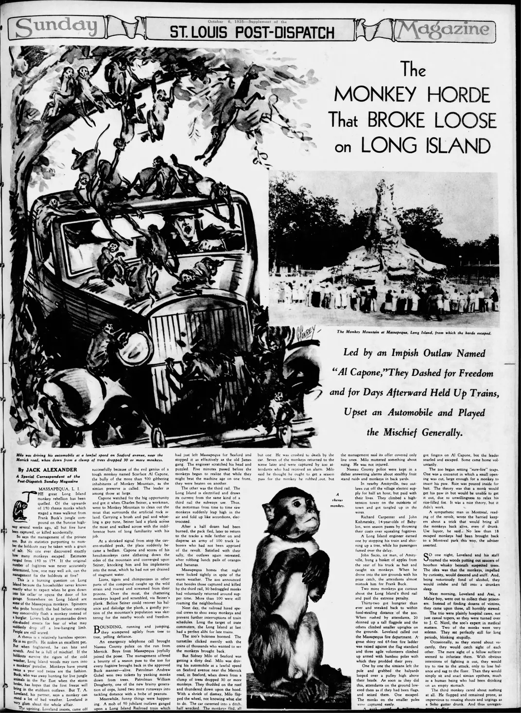 A newspaper article about the great monkey escape of August 1935