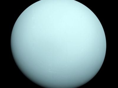 In 1986, Voyager 2 took this image of Uranus during its flyby.