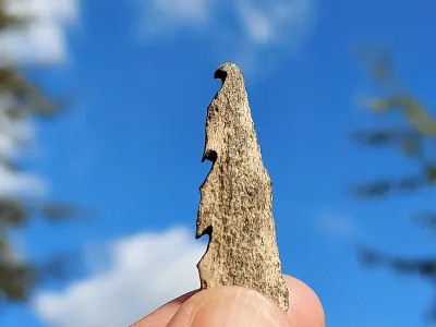 One of the human bone points analyzed in the study, found by Willy van Wingerden in January of 2017.