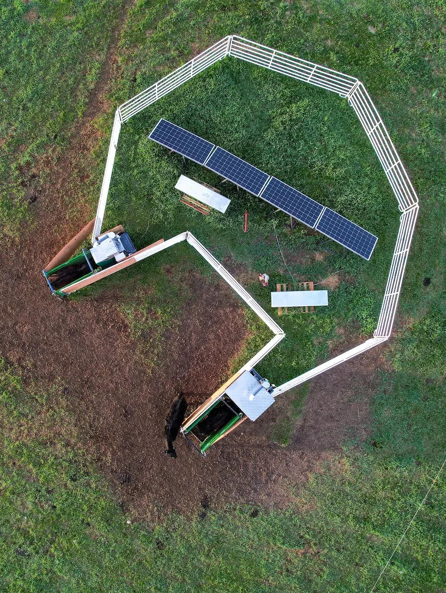 Overhead view of equipment with cows