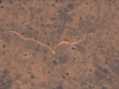 A man spotted the scar while looking at Google Earth satellite imagery earlier this year.